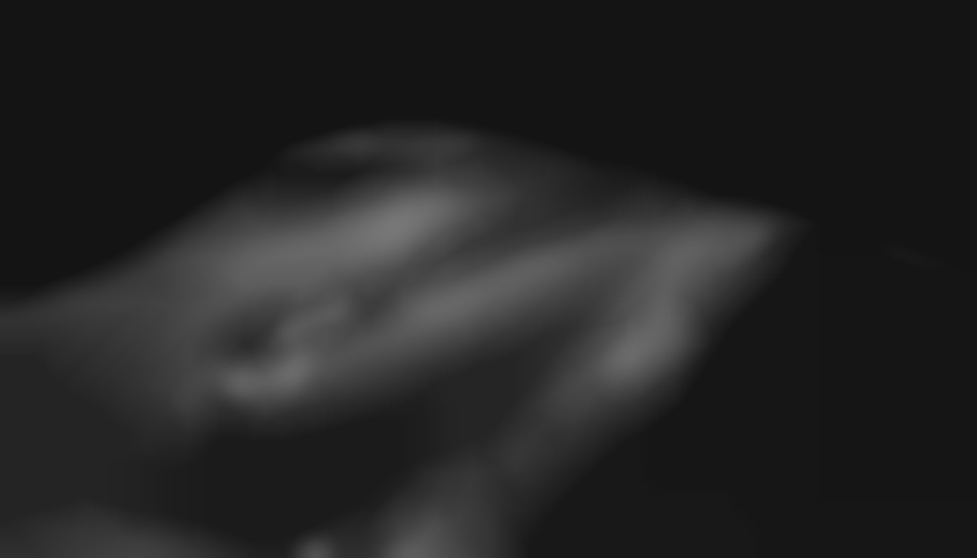 Exploration des dynamiques émotionnelles dans les interactions webcam intimes